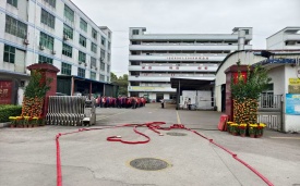 2025e乐采开工大吉 大吉大利